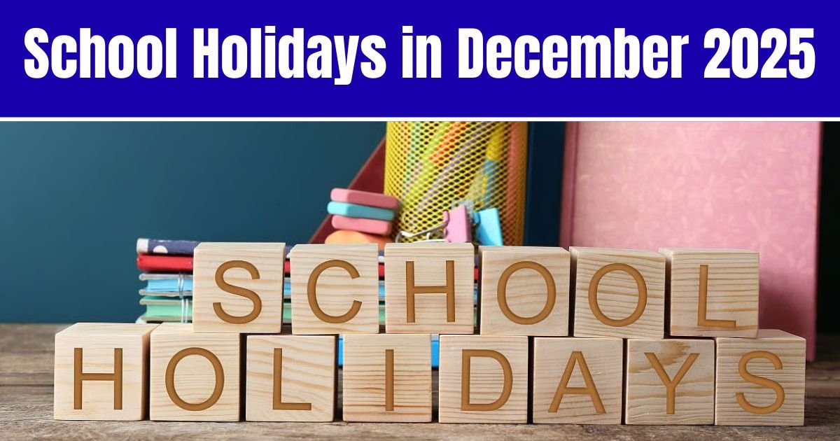 School Holidays in December 2025